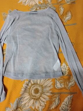 Cider Silver Shimmer Scoop Neck Top